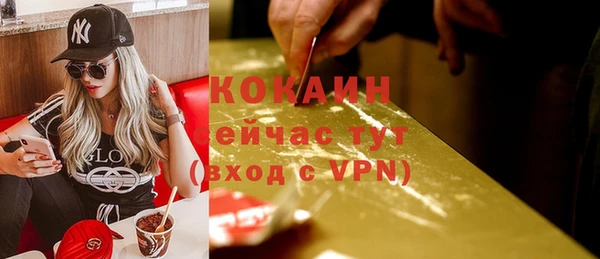 прущие грибы Абинск