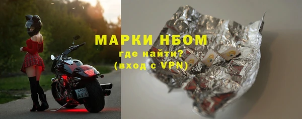 прущие грибы Абинск