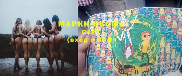 прущие грибы Абинск