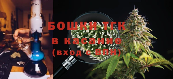 прущие грибы Абинск