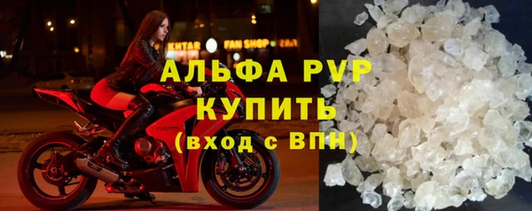 прущие грибы Абинск