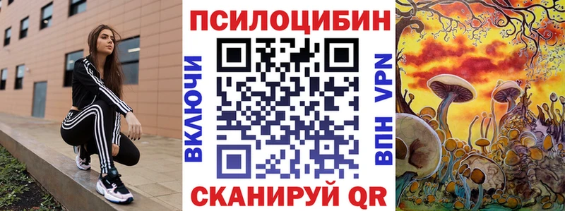 Псилоцибиновые грибы Psilocybine cubensis  продажа наркотиков  Фокино 